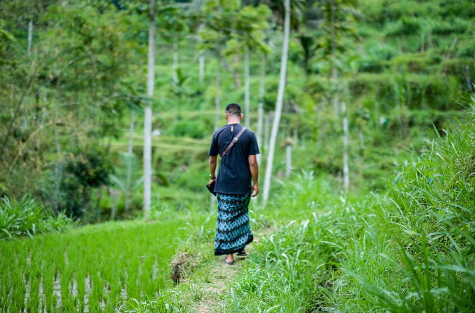 Hide And Seek Tetebatu Extérieur photo